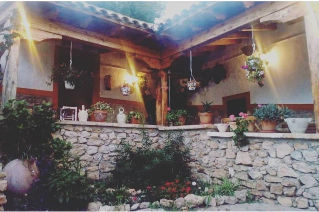 Oasis De Ifre Villa Caserío Cañada de Gallego Eksteriør billede