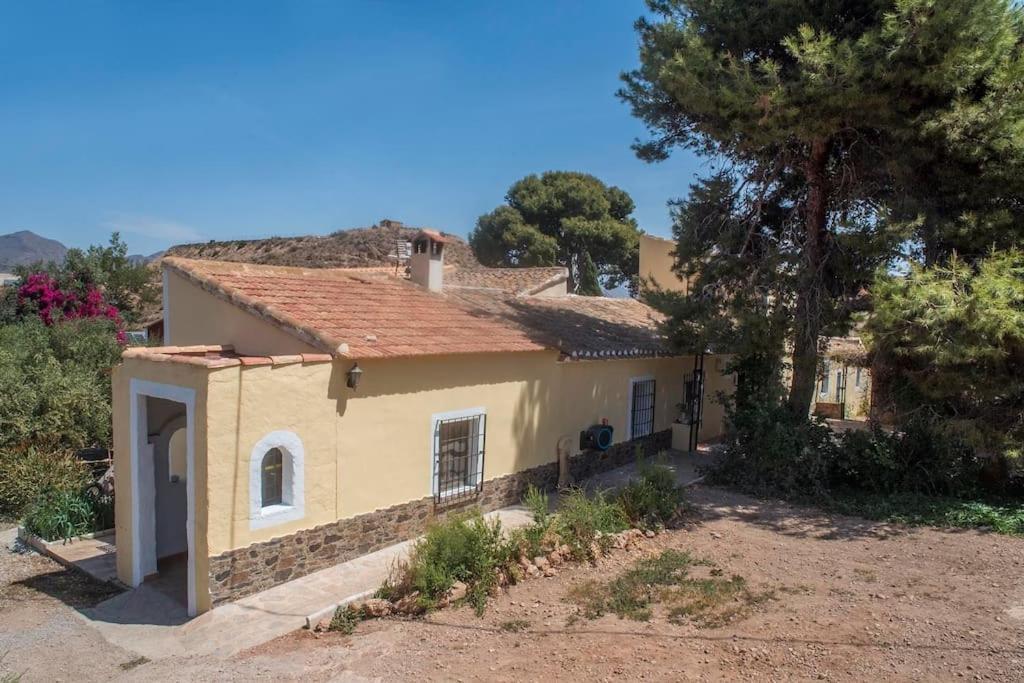 Oasis De Ifre Villa Caserío Cañada de Gallego Eksteriør billede