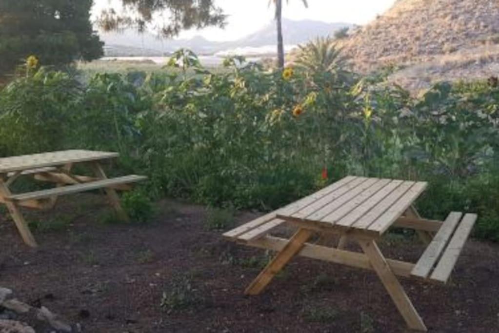 Oasis De Ifre Villa Caserío Cañada de Gallego Eksteriør billede