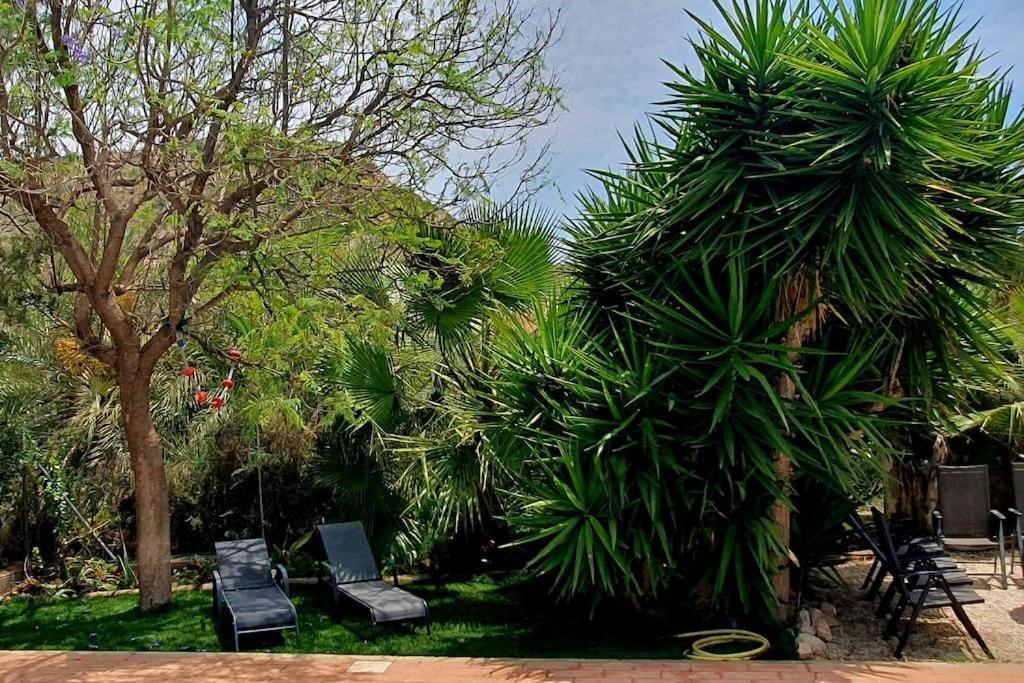 Oasis De Ifre Villa Caserío Cañada de Gallego Eksteriør billede
