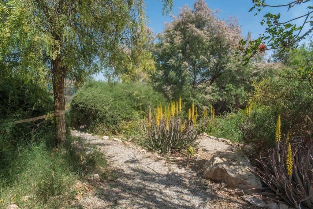 Oasis De Ifre Villa Caserío Cañada de Gallego Eksteriør billede
