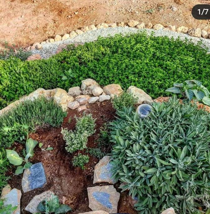Oasis De Ifre Villa Caserío Cañada de Gallego Eksteriør billede