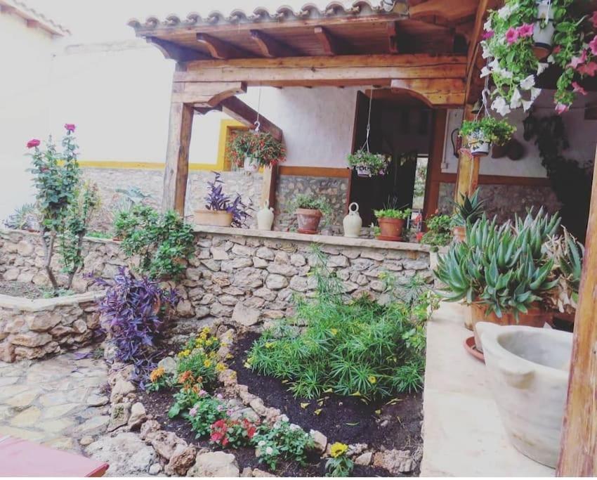 Oasis De Ifre Villa Caserío Cañada de Gallego Eksteriør billede